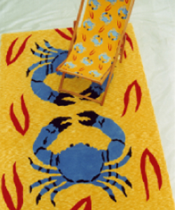 Rug and Deck Chair